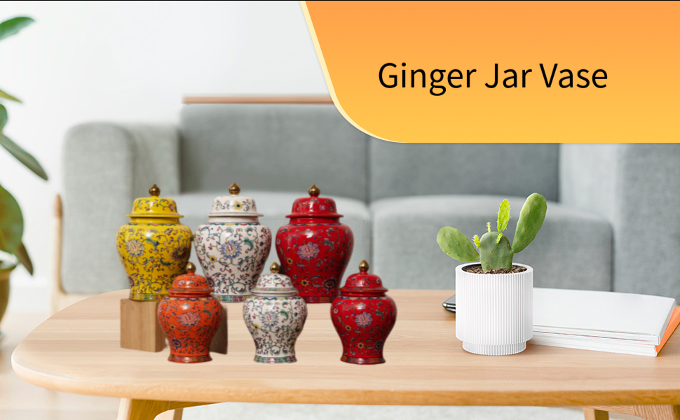 Ronyme Ginger Jar Vase Porcelain Ginger Jar Flower Vase
