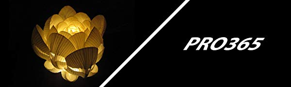 PRO365