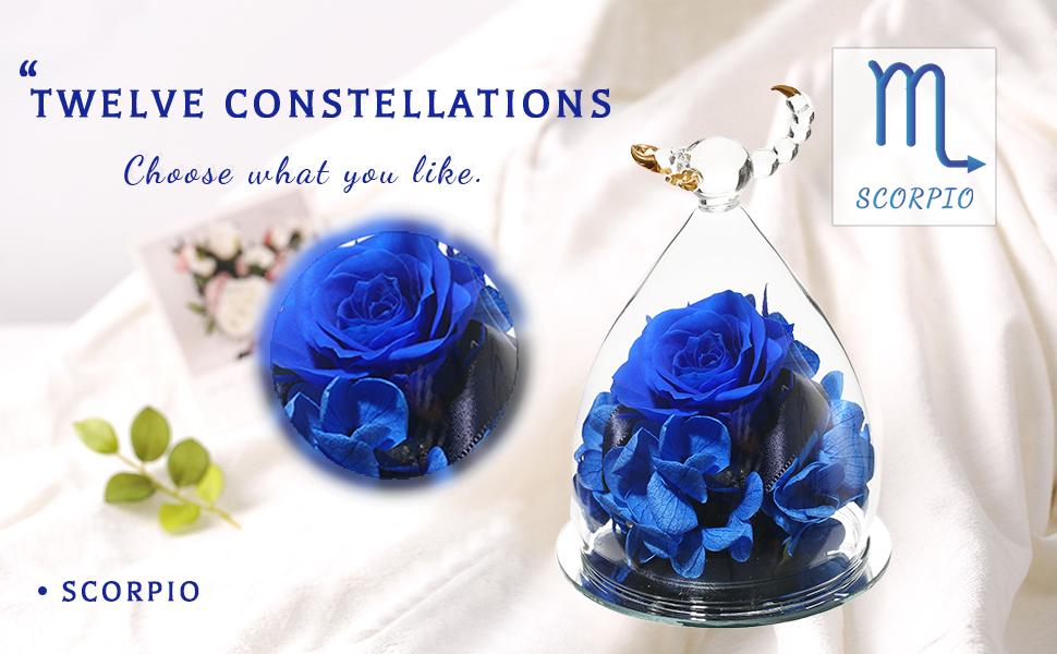Amazon Com Hoomna Scorpio Mother S Day Birthday Gift For Grandma Mom Friend Sister Unique Zodiac Gifts For Women Preserved Real Rose Flowers Never Wither Everything Else Amazon Com Hoomna Scorpio Mother S Day Birthday Gift For Grandma Mom Friend Sister Unique Zodiac Gifts For Women Preserved Real Rose Flowers Never Wither Everything Else