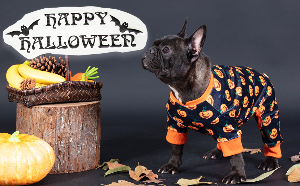 KYEESE Dog Pajamas Halloween for Small Dogs Pumpkin Dog