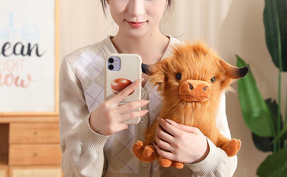 Amazon.co.jp: スコットランドのハイランド牛 - 写真
