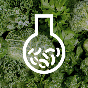 Naturally extracted prebiotics—the partner of our probiotics