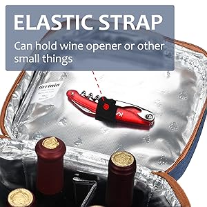 Picnic time insulated wine tote