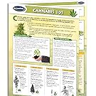 Cannabis 101