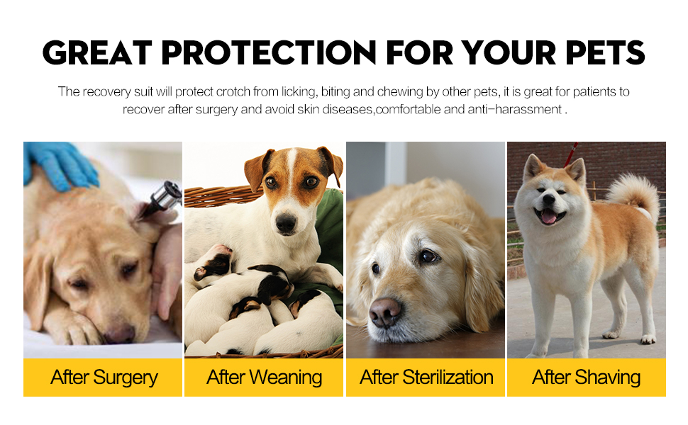 HEYWEAN Dog Surgical Recovery Suit Keep Dog from Licking, ECollar Cone