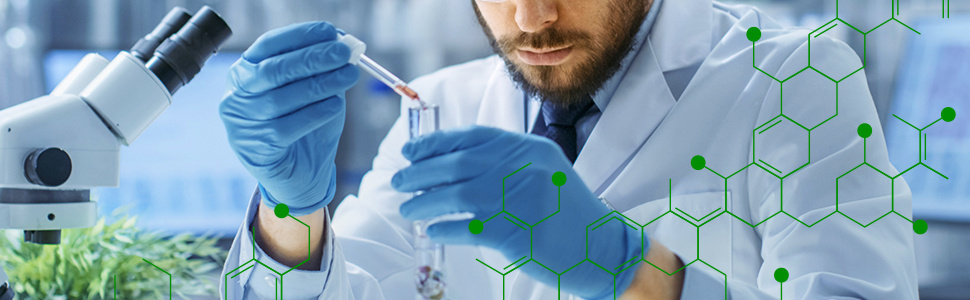 PhytoImmune
