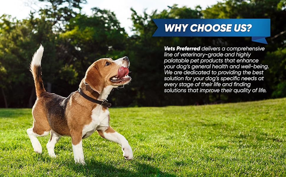 Vets Preferred Anti Diarrhea Liquid for Dogs Dog