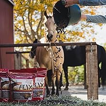 Equine, Treat, Horse, Flax, Omega