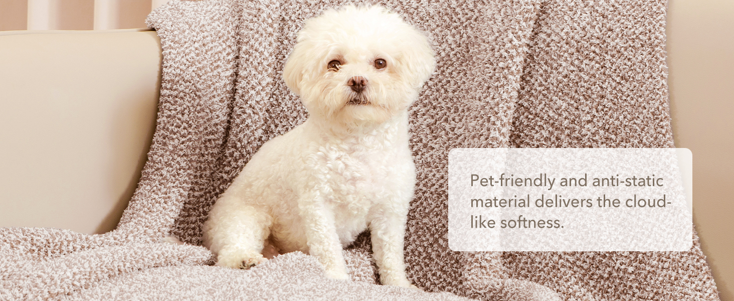 Pet Friendly Blanket
