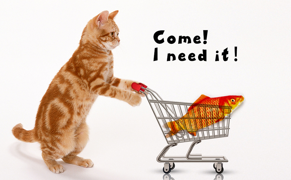 Labeol Dancing Fish Cat Toy Flopping Fish Cat Toys for