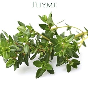 Thyme Organic Essential Oil
