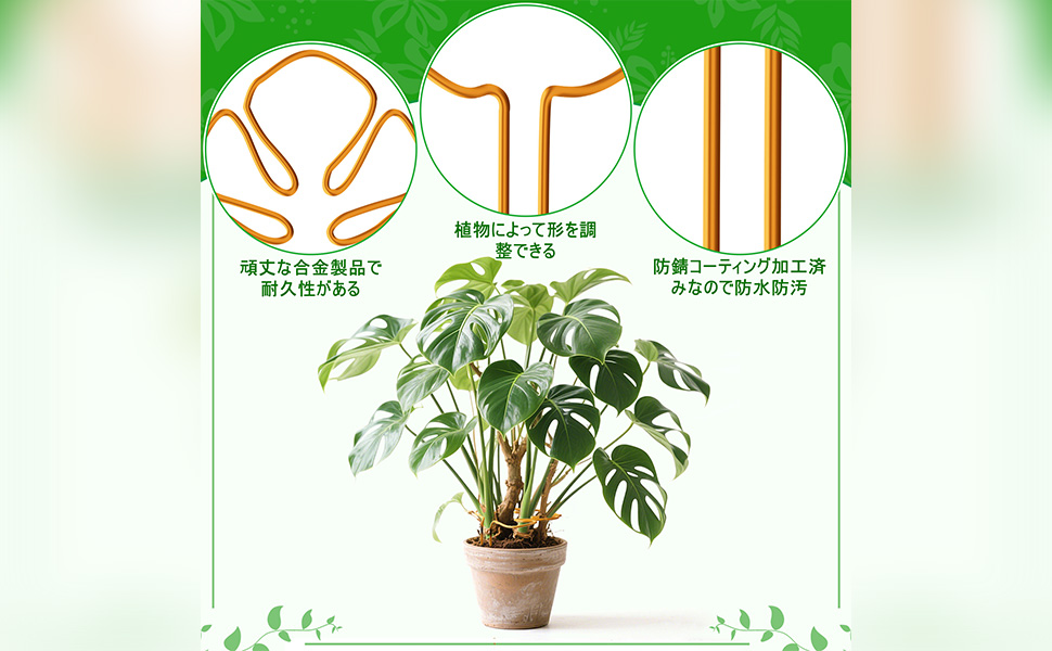 Amazon | Neiang モンステラ 支柱 1本 観葉植物 支柱 モンステ