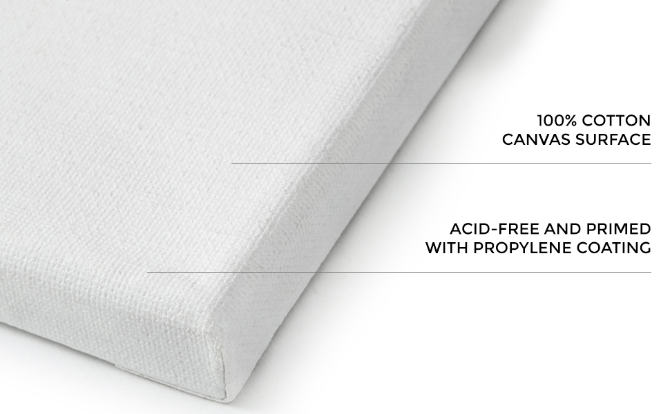 Americanflat 10 Piece 8x10 Pre Stretched Blank Canvas Boards with 0.64