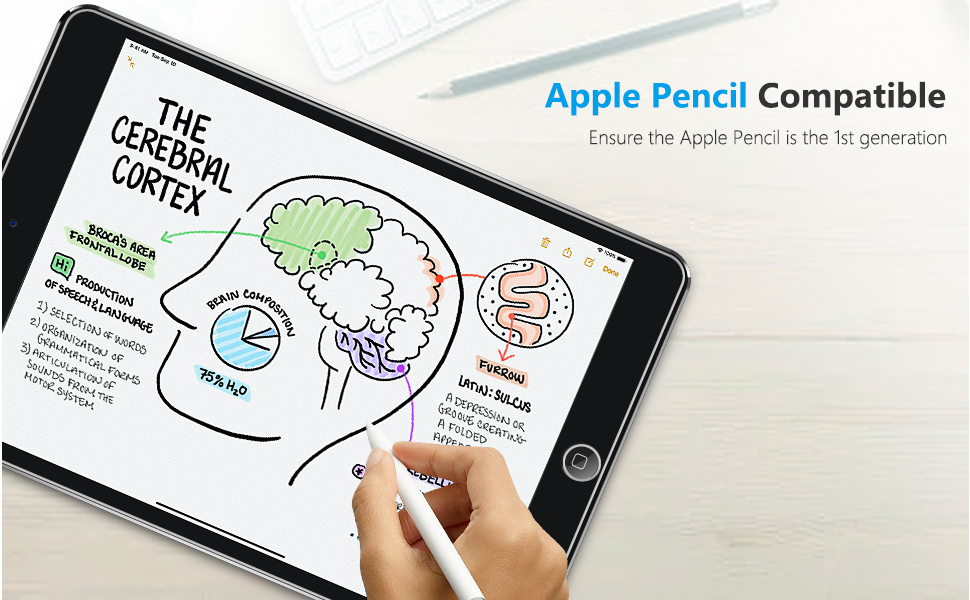 SPARIN 2 Pack Screen Protector Compatible with iPad 6th 5th Generation