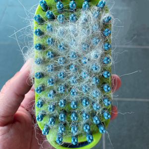 removable cover dog brush curry massage groom grooming bathtime bath washing cleaning