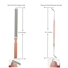 Toenail lifter
