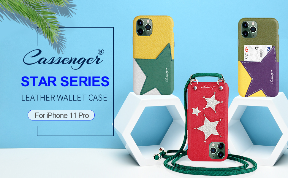 iPhone 11 Pro case with card holder