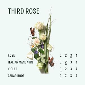 Third Rose