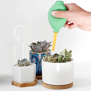succulent mini tools succulent tools bag