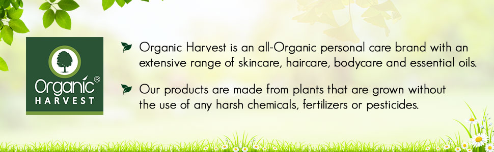 Large manufacture image 5