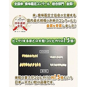 Amazon.co.jp: 新米 岐阜県 産龍の瞳 (いのちの壱) 2kg 米 令和2