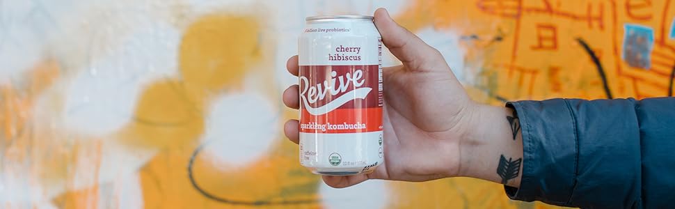 revive kombucha online super tasty sparkling raw organic sonoma county