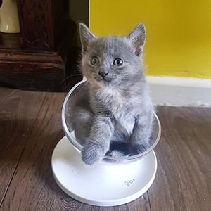 Small manufacture image 7