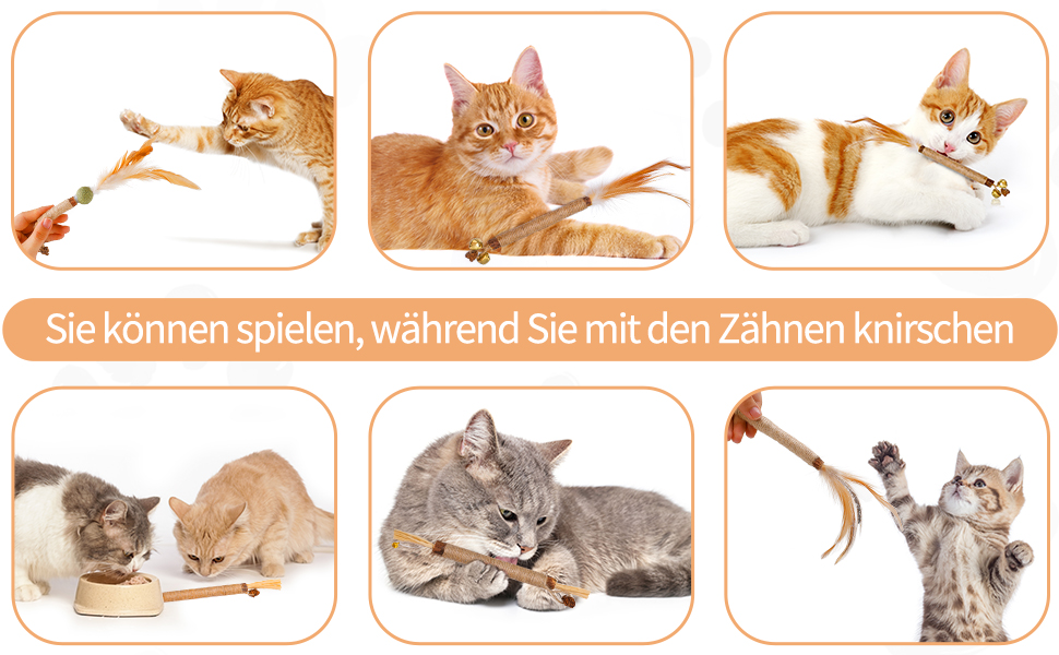 Kausticks für Katzen
