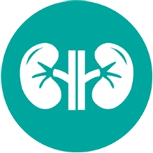 Kidney Health