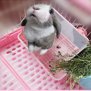 Small manufacture image 6