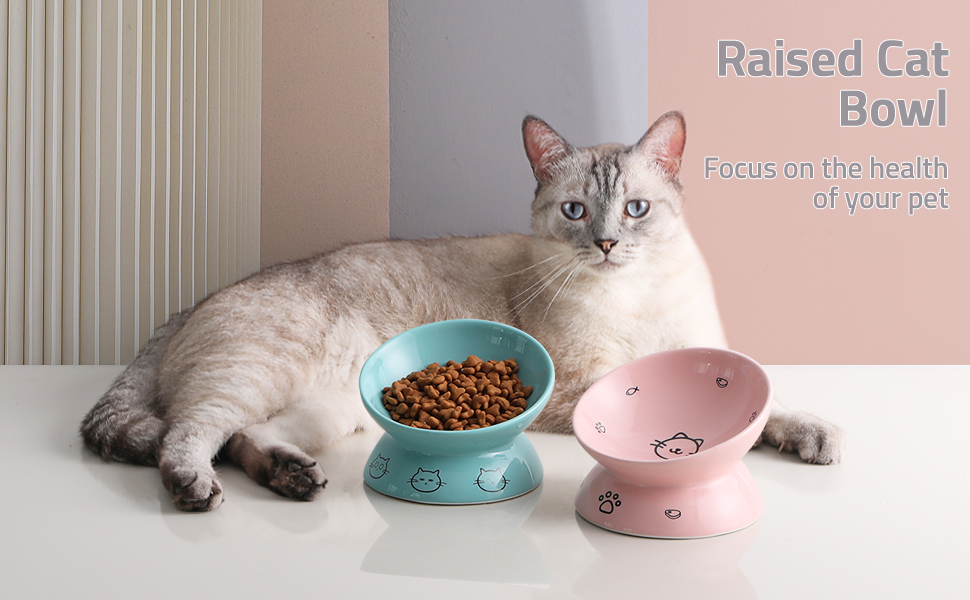 cat bowls