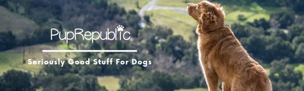  Dogtreatbag,allinonedogbag,trainingdogbag,dogtrainingbag,dogwalkingbag,poopbagholder 