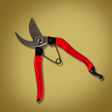 secateurs