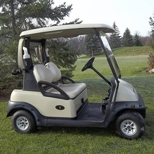10L0L Golf cart ds