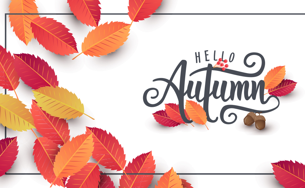 Thanksgiving fall nail stickers decals for nails art water transfer