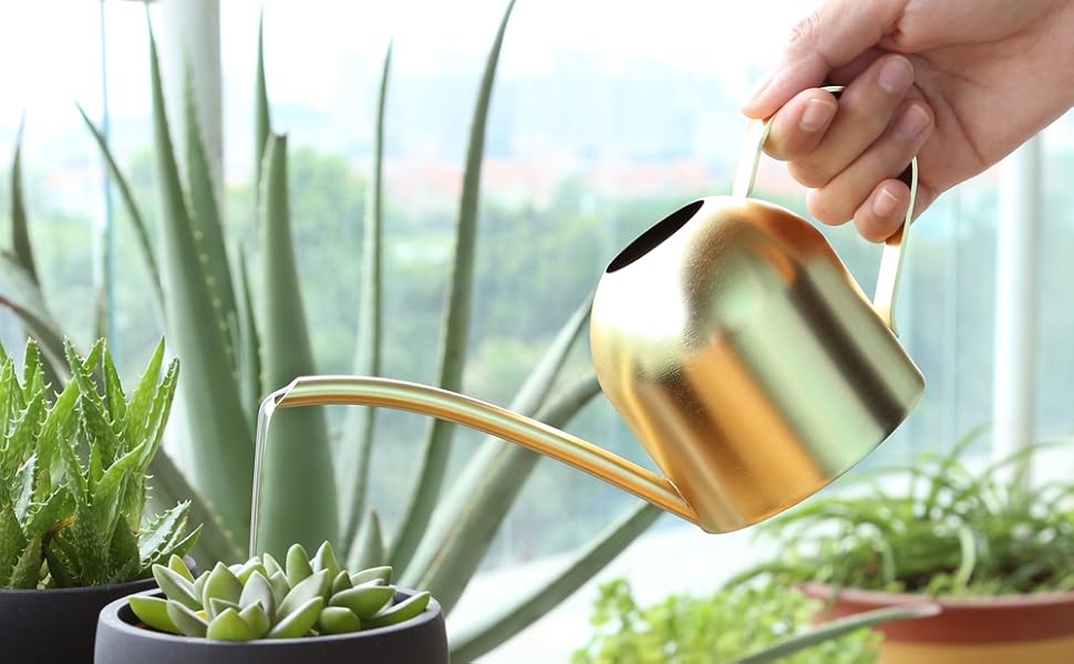 Gold Watering Can