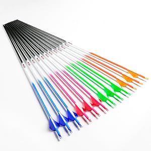 Linkboy Arrow shafts with Plastic vanes