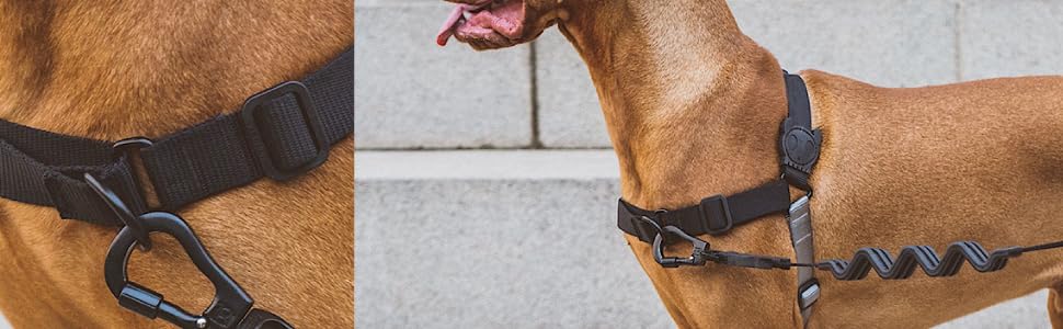 Soft walk harness Clearance