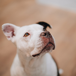 Small manufacture image 14