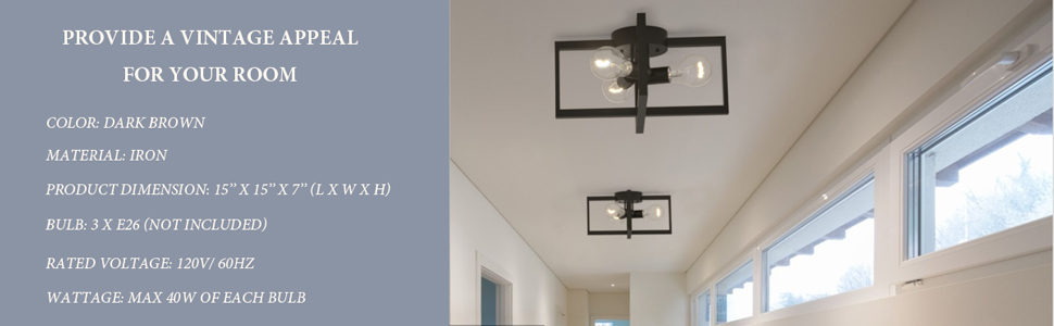 3 light ceiling lamp