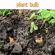 auger drill bit for planting