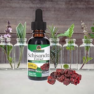 Schisandra Extract