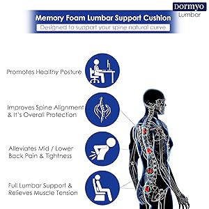 lumbar support back pain soine pain relief