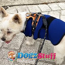 Wear under walking harness