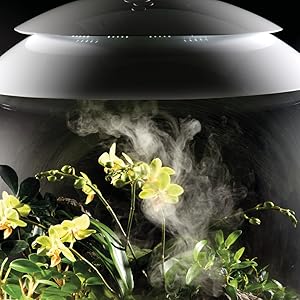 Amazon｜biOrb バイオーブエアー60 No.72557 ブラック 植物育成