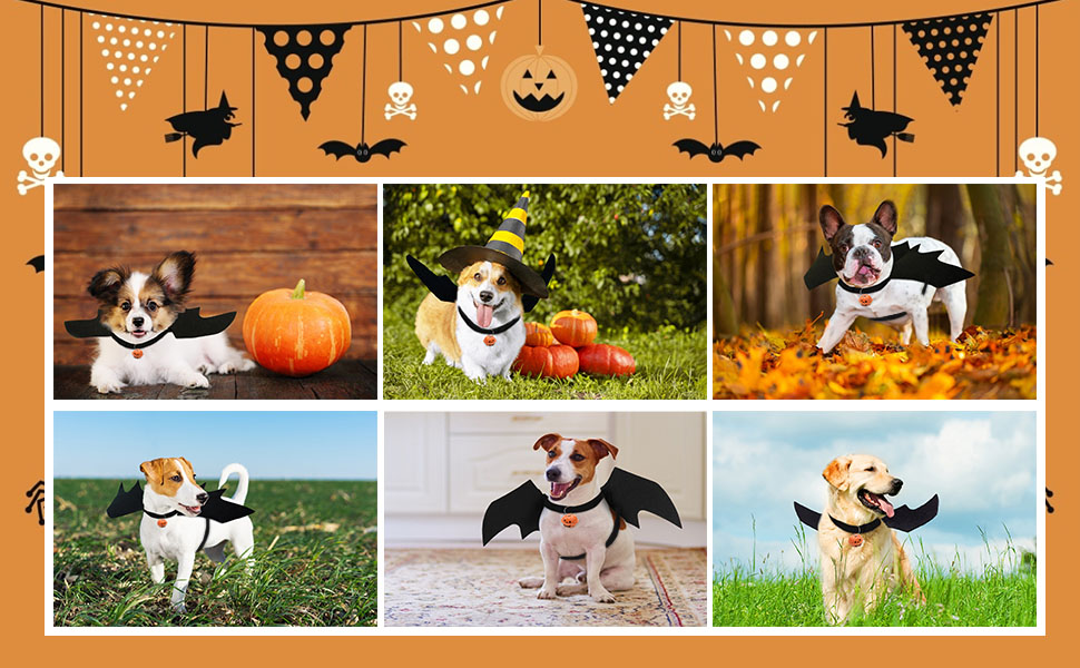 Dog Bat Wings B bangcool Halloween Pets Wing Costumes
