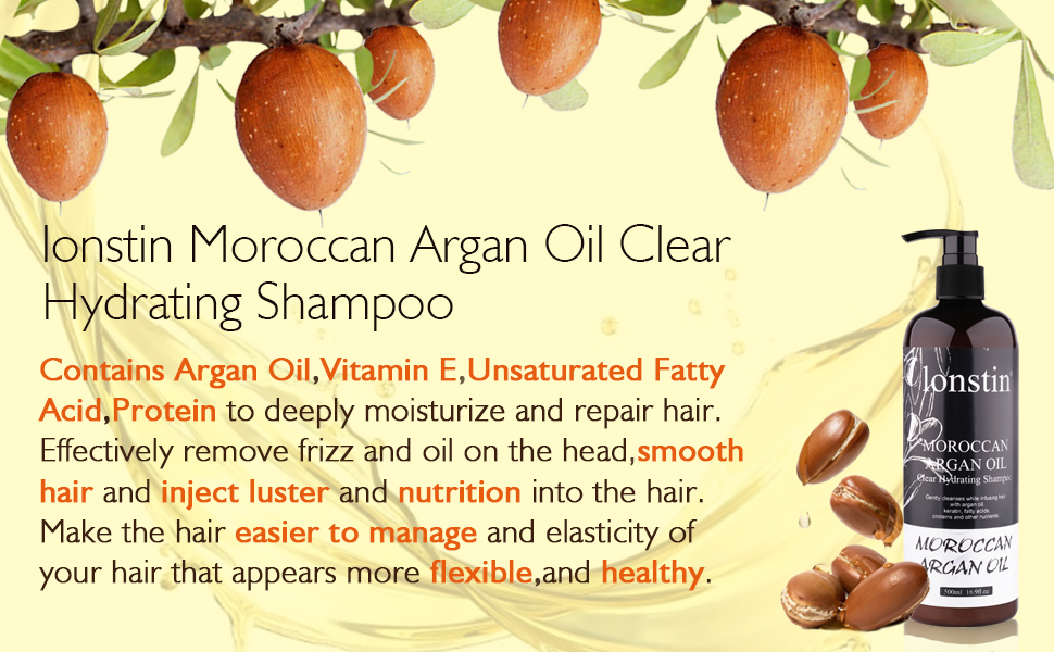 lonstin Argan Oil Shampoo for Dry Damaged Hair, Daily Moisturising Hair