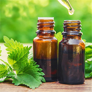 nettle extract