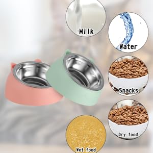 Bowl for Cats and Dogs