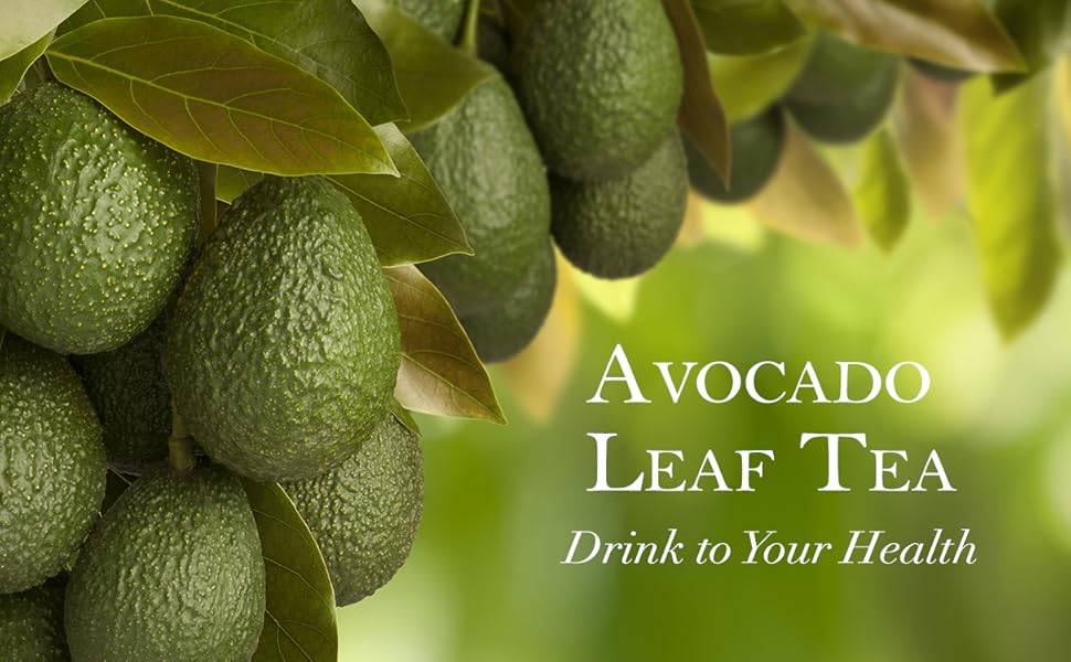 Té de hojas de aguacate, Natural, 1.05 ounce Alimentos